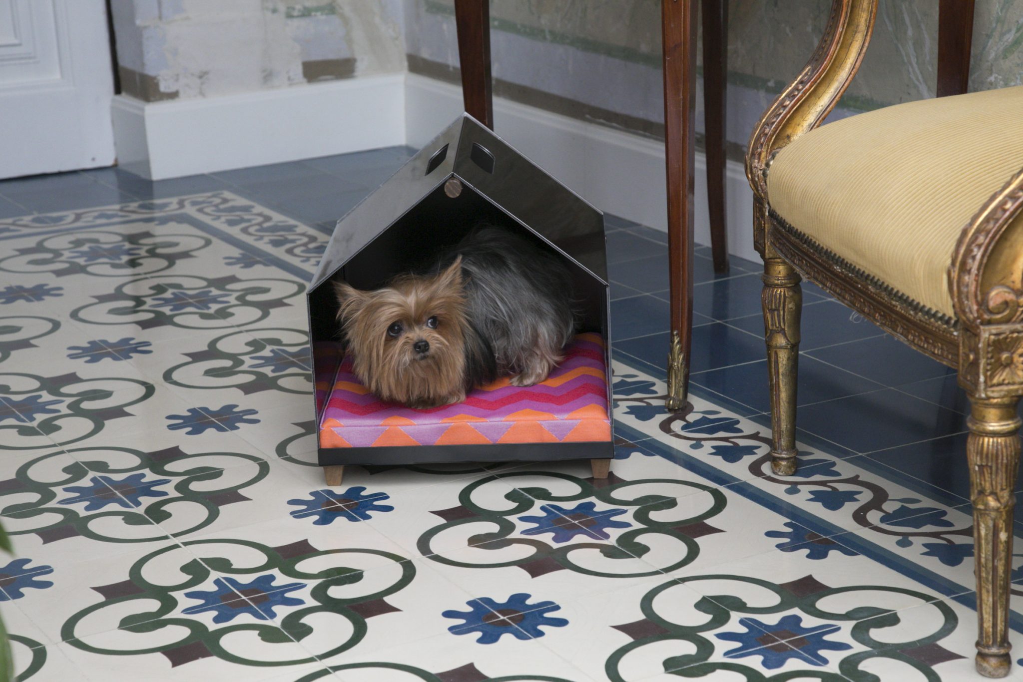 DOG HOUSE BLACK DESIGN PET PETIPETI ROSA COLET