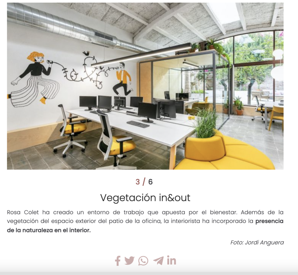 Interiores Tpartner 