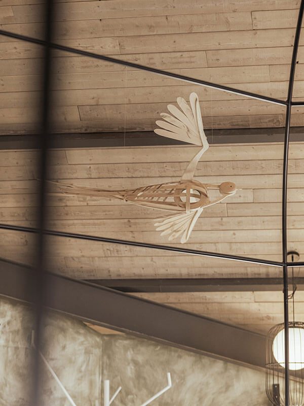 pajaro-600x800px-scaled pajaro-600x800px-scaled